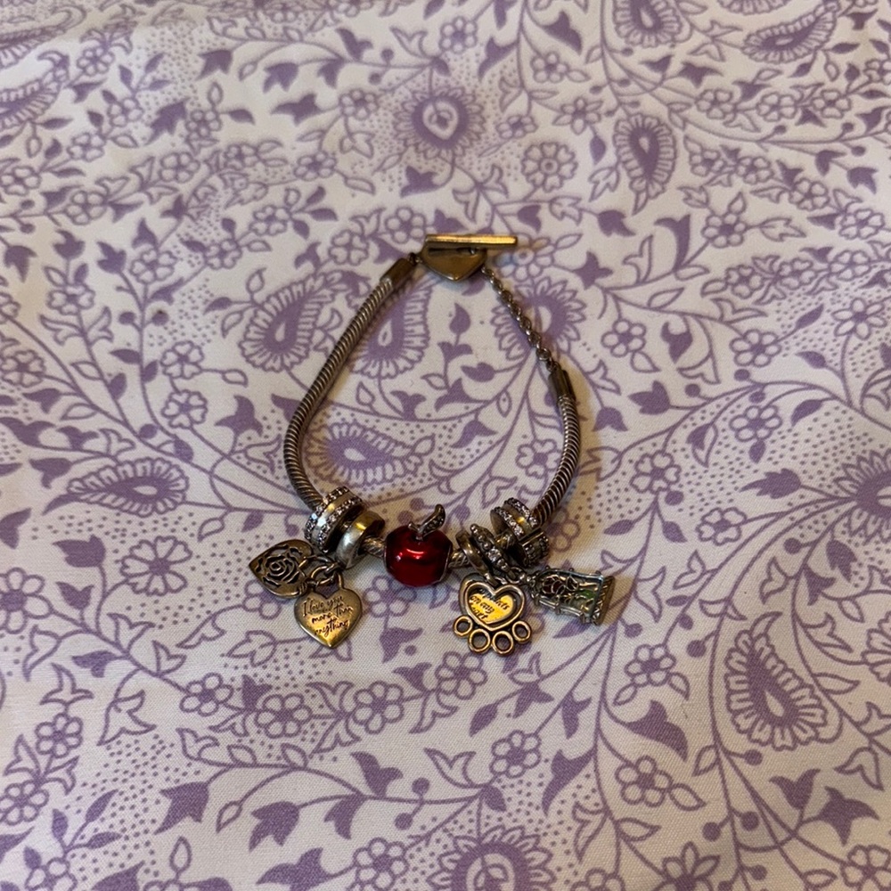 Pandora Charm Bracelet